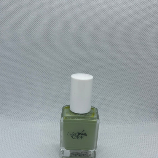 Fern